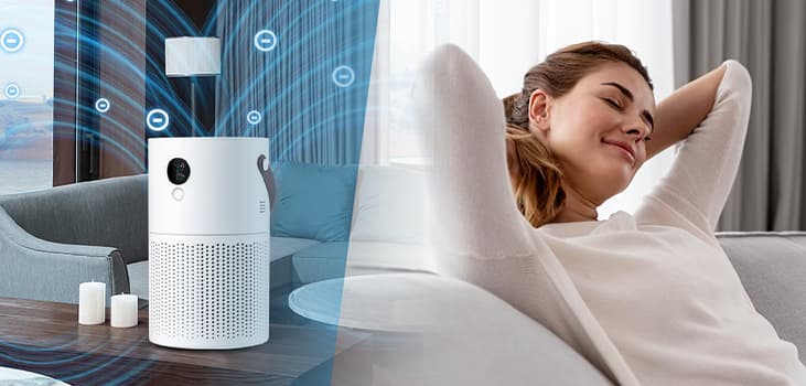 Top 5 Air Purifiers